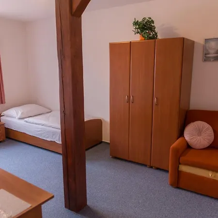 Гостевой дом Penzion Trnova Trnova (Prague-West)