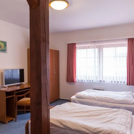 Penzion Trnova Гостевой дом Trnova (Prague-West)